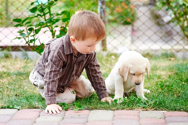 Kleine jongen speelt met een witte Labrador puppy — Stockfoto