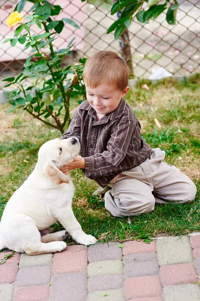 Μικρό αγόρι που παίζει με ένα λευκό λαμπραντόρ κουτάβι — Φωτογραφία Αρχείου