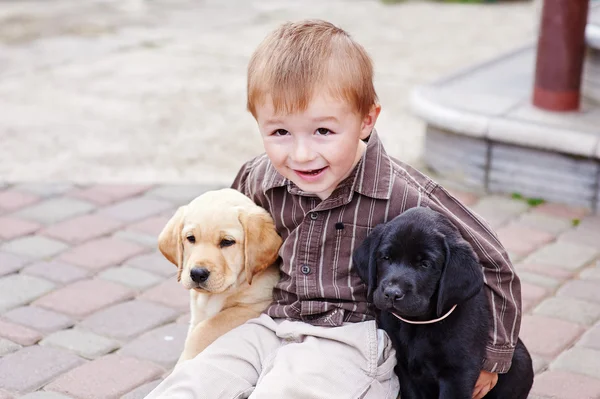 Kleine jongen spelen buiten met een twee Labrador puppies — Stockfoto