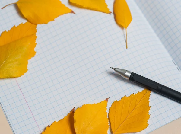 Colorful autumn leaves and pen Autumn composition. Free space for text. — Stock Photo, Image