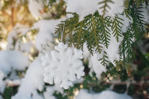 Belos flocos de neve em um ramo nevado — Fotografia de Stock