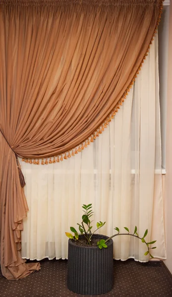 Partie de rideau magnifiquement drapé et mur avec des motifs — Photo