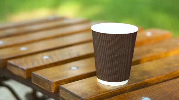 Tazza di latte macchiato su una panchina in un parco estivo — Video Stock