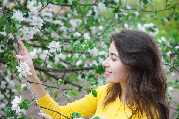 Ilkbaharda çiçek açması tree yakınındaki güzel kadın — Stok fotoğraf