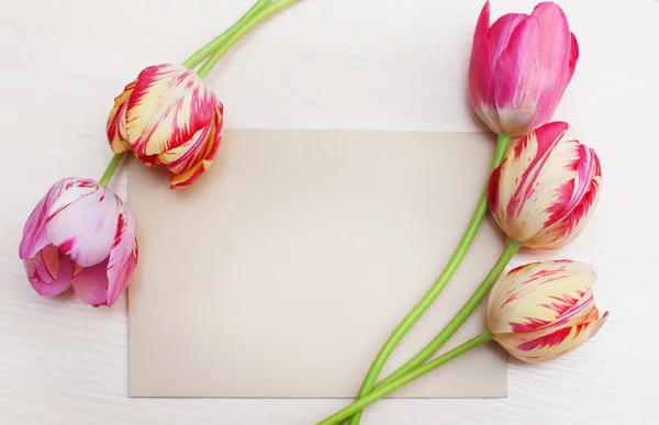 Ramo de tulipanes rojos sobre fondo blanco con espacio para texto — Foto de Stock