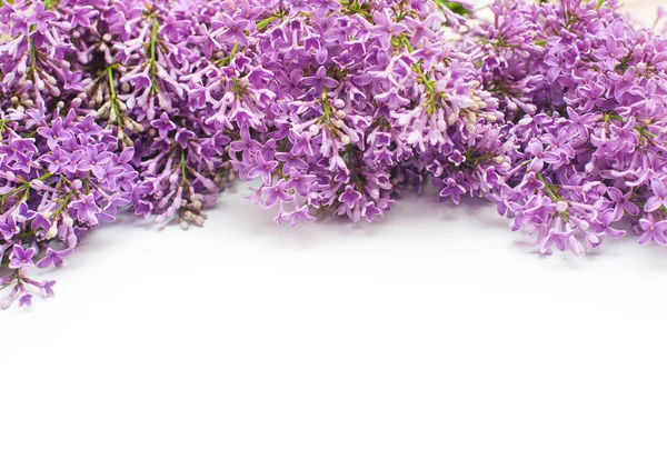 Frame from lilac and place for text — Stock Photo, Image