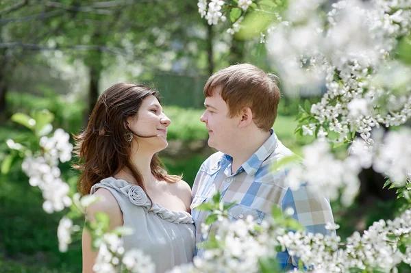 Ungt par i kärlek promenader i blossom våren trädgård — Stockfoto