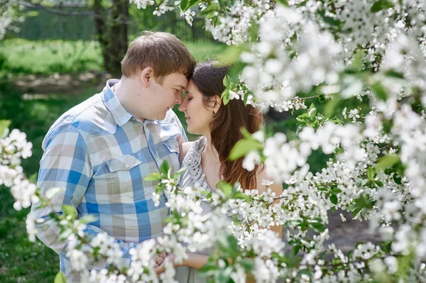 Ungt par i kärlek promenader i blossom våren trädgård — Stockfoto