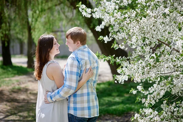 Ungt par i kärlek promenader i blossom våren trädgård — Stockfoto