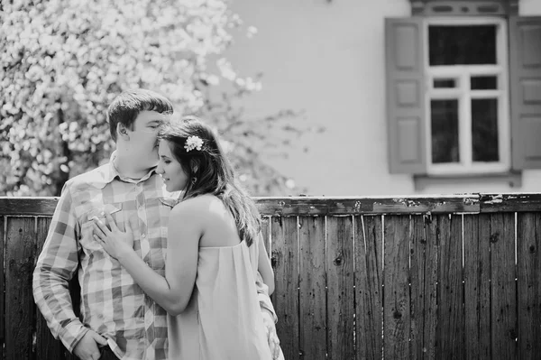 Man kissing a woman near the cherry blossoming spring tree — Stock Photo, Image