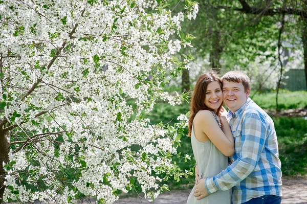 Mladý pár pózuje v kvetoucí jarní zahrada — Stock fotografie
