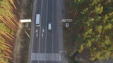Otoban araba bir çam ormanı içinde hareket ile