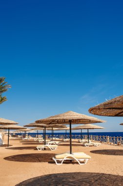 şezlong ve plaj mükemmel bir tatil kavramı üzerinde bir plaj şemsiyesi