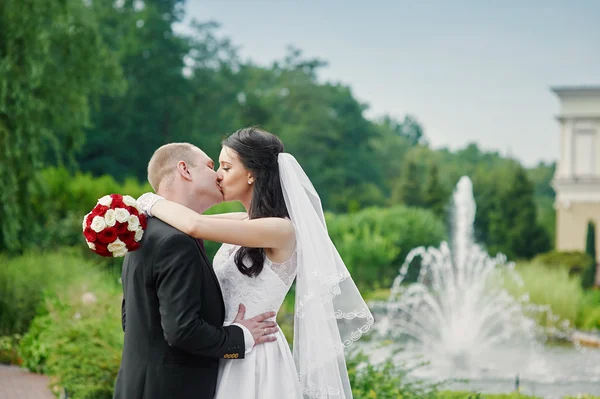 Bride and groom for a walk in the park — Stock Photo, Image