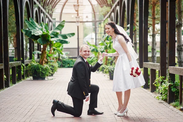 Groom kneels on one knee in front of a happy bride — Stock Photo, Image