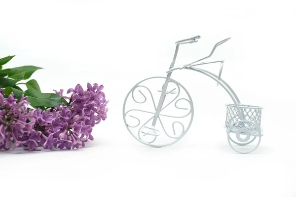 在白色背景上的丁香分支和玩具自行车 — 图库照片