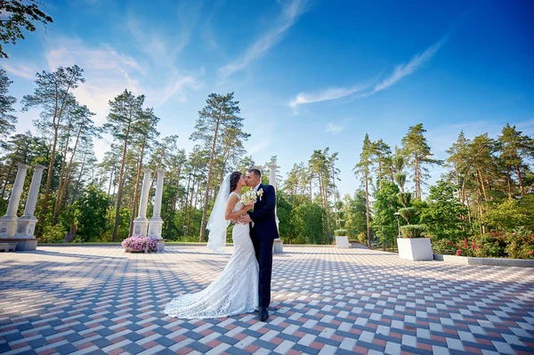Elegant elegant brudgummen med sin glada vackra brud kyssar i parken — Stockfoto
