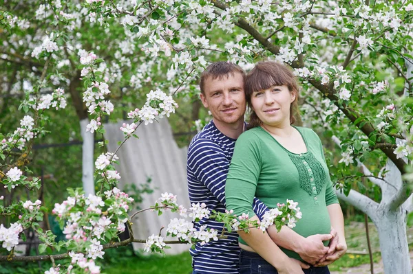 Husband and his pregnant wife in the spring blooming garden — Stock Photo, Image