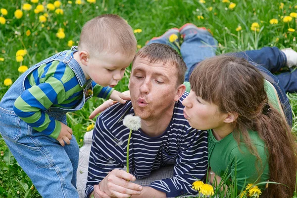 Mom dad and son together blowing on a dandelion in a meadow — Stock Photo, Image