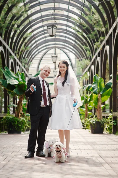 Sposa e sposo passeggiando nel parco estivo all'aperto con architettura — Foto Stock