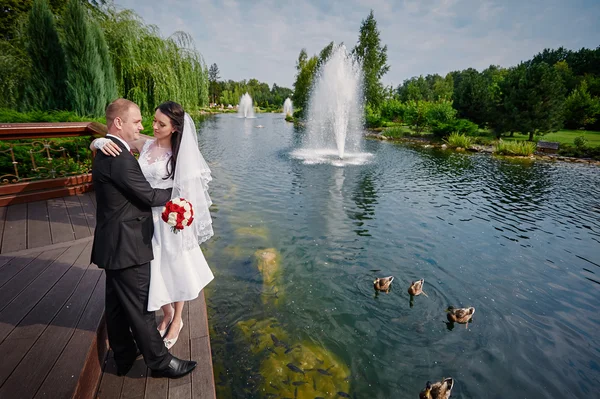 Elegante stilvolle Bräutigam mit seiner glücklichen wunderschönen Braut auf dem Hintergrund eines Sees mit Enten — Stockfoto