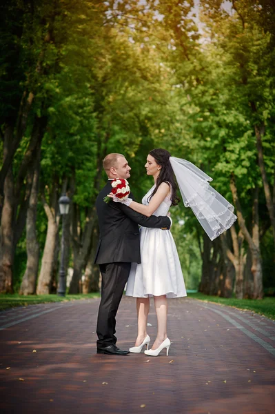 Mladý pár, chodit spolu ruku v ruce v létě park — Stock fotografie