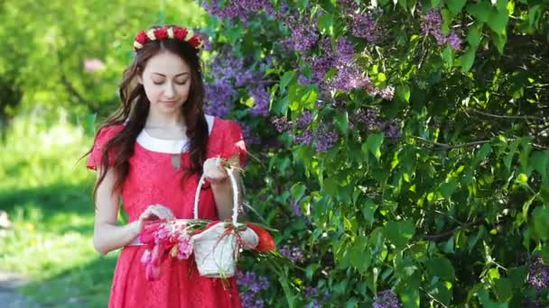 Hermosa mujer en un vestido rojo con una corona y una canasta con tulipanes — Vídeo de stock