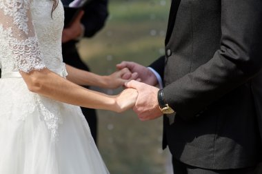 bride and groom holding hands in a summer park clipart