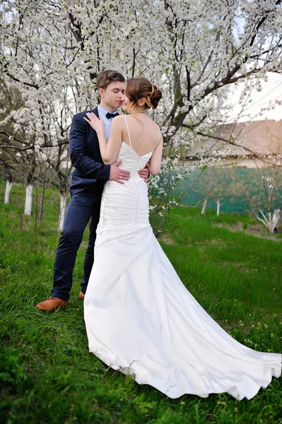 Bruden och brudgummen omfamna i en blommande våren trädgård — Stockfoto