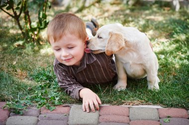 küçük çocuk beyaz Labrador yavru köpek ile oynamak