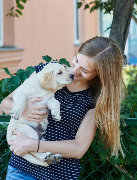 Mujer está sosteniendo un cachorro perro crianza labrador — Foto de Stock