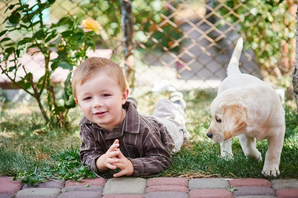 Bambino che gioca con un cucciolo di Labrador bianco — Foto Stock