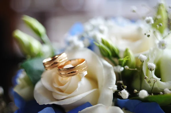 Dos anillos de bodas de oro yacen en una rosa blanca —  Fotos de Stock