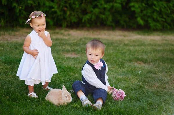 Petit garçon avec la fille et le lapin jouer dans l'herbe — Photo