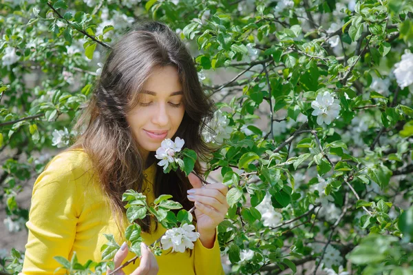 Hermosa mujer oliendo una flor en el jardín de primavera —  Fotos de Stock