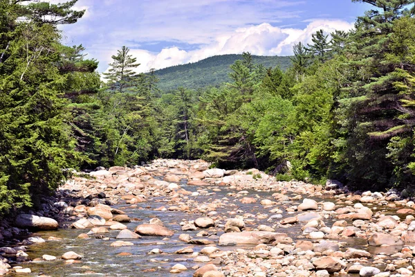 New Hampshire 'daki nehir ve beyaz dağların manzarası