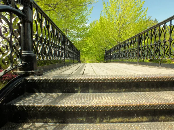 Ornate Black Wrought Iron Railings Footbridge — Stock Photo, Image