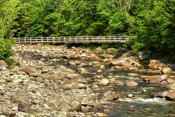 Pemigewasset nehrinden geçen yaya köprüsünün manzarası, New Hampshire.