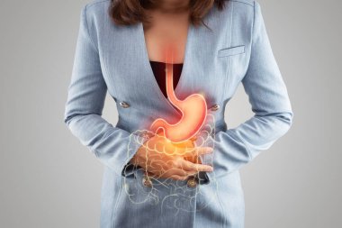 The illustration of stomach and large intestine is on the woman's body against gray background. Acid reflux. Female anatomy clipart
