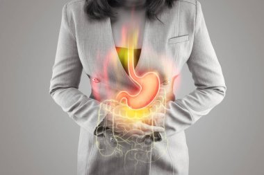 Karın ve kalın bağırsağın betimlemesi kadının vücudunda gri arka planda. Asit reflüsü. Kadın anatomisi.