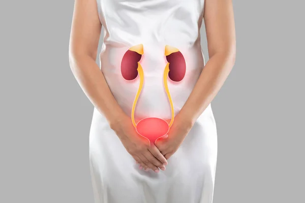 Illustration Bladder Kidneys Woman Body Gray Background Kidney Failure Kidney — Stock Photo, Image
