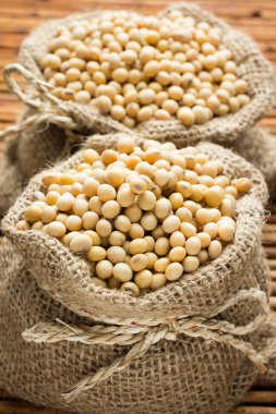soya fasulyesi