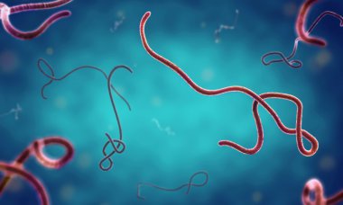 Ebola virüsü 3d