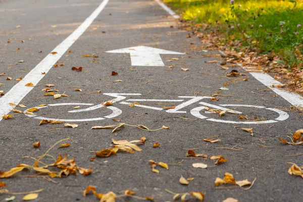 Bike path in the autumn Park. A symbol of cycle paths on the pavement