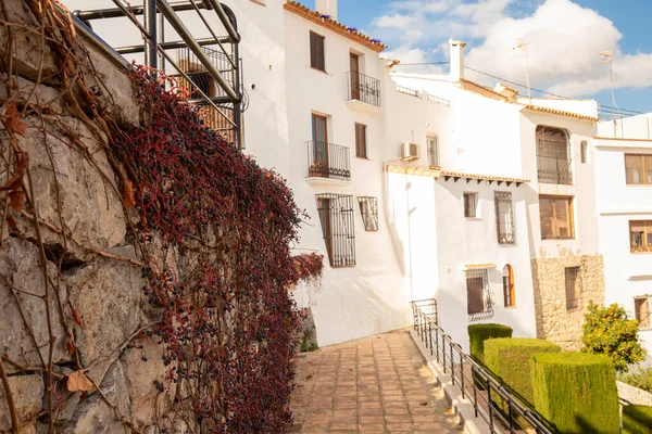 Pared de piedra entrelazada con uvas en la calle del casco antiguo con casas blancas y tejados de azulejos, ciudad de Altea, España — Foto de Stock