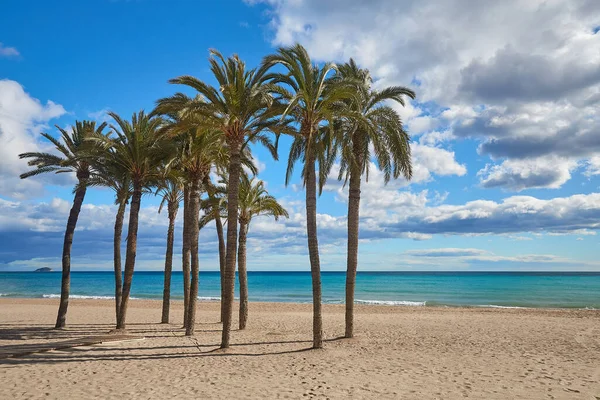 해변에 있는 야자나무들 이 바다를 배경으로 하고 태양에 아름다운 구름이 덮인 푸른 하늘을 배경으로 하고 있다. 스페인, 빌레 조이사 — 스톡 사진