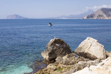 Calpe Akdeniz kıyıları Maraira manzaralı ve ön planda mavi turkuaz sularda büyük kayalar üzerinde bir martı, İspanya
