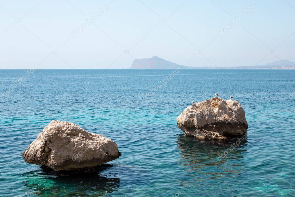 Seabirds on huge rocks in sea water, Mediterranean coast, Spain