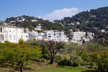 İtalya 'nın başkenti Tyrhenian' da bulunan Capri Adası 'ndaki Augustus Giardini di Augusto Bahçelerindeki Kartaca manastırının barok saat kulesinin manzarası..