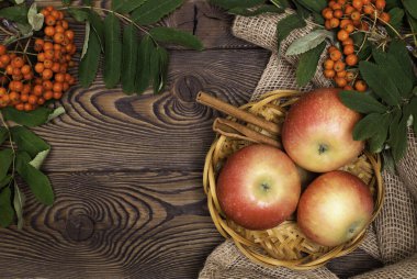 Sonbahar arkaplanı elmalar, tarçın ve bir dal Rowan 'ın, tahta bir masanın üzerinde, saman bir tabakta, kırsal bir tarzda. Uzayı kopyala, düz yat
